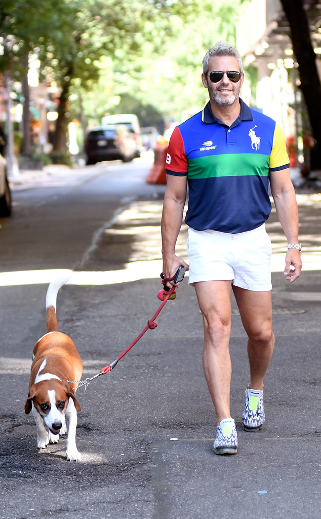 Andy Cohen Andy Cohen
